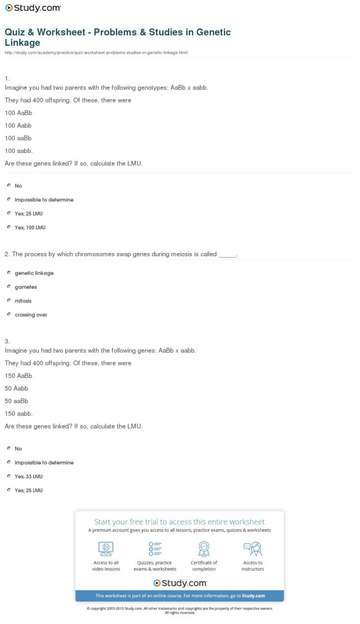 Genetics Problems Worksheet