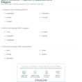 Quiz  Worksheet  Properties Of Quadrilaterals  Polygons