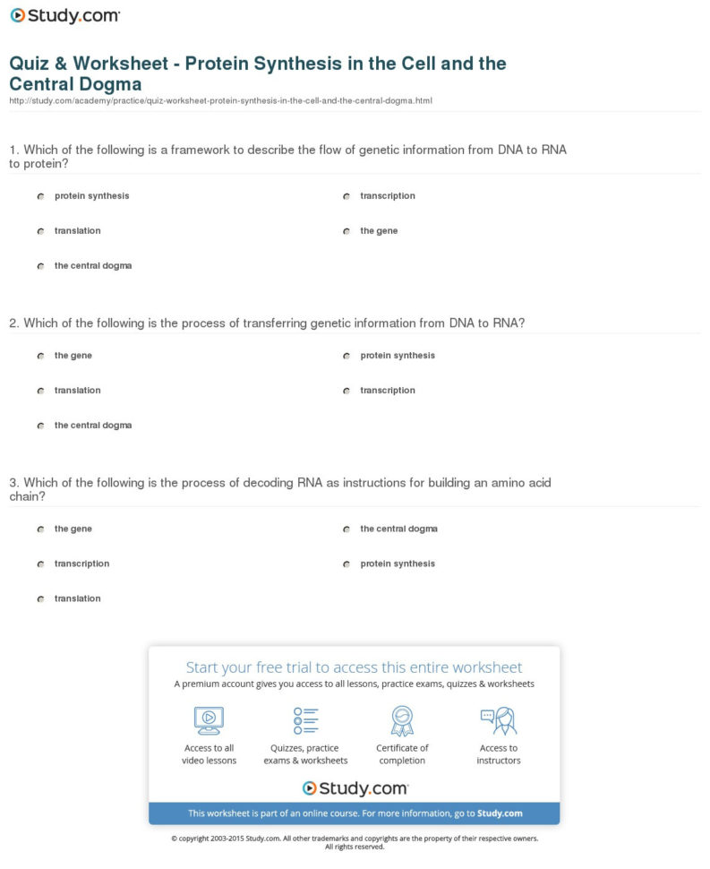 Quiz  Worksheet  Protein Synthesis In The Cell And The