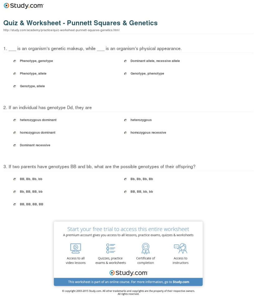 Quiz Worksheet Punnett Squares Genetics Study Db Excel Quiz Worksheet Punnett Squares Genetics Study Db Excel