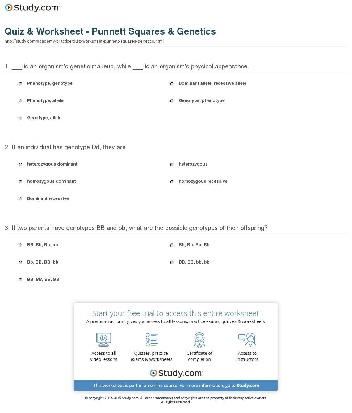 Quiz  Worksheet  Punnett Squares  Genetics  Study