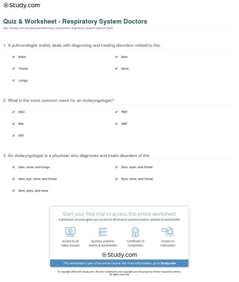 Quiz  Worksheet  Respiratory System Doctors  Study