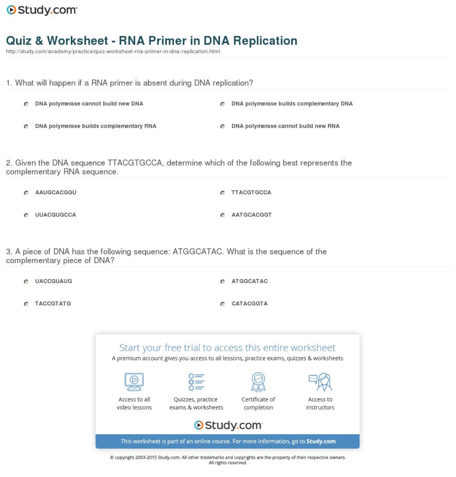 Quiz  Worksheet  Rna Primer In Dna Replication  Study