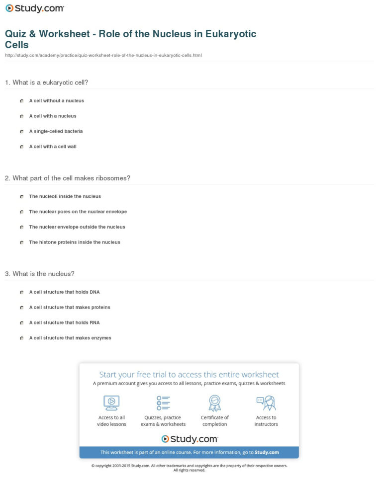 Quiz  Worksheet  Role Of The Nucleus In Eukaryotic Cells