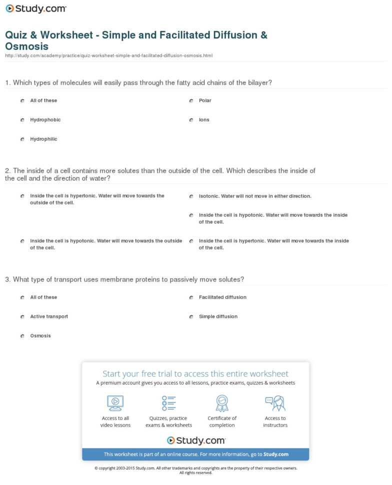 Quiz  Worksheet  Simple And Facilitated Diffusion