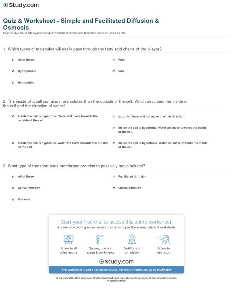 Quiz  Worksheet  Simple And Facilitated Diffusion