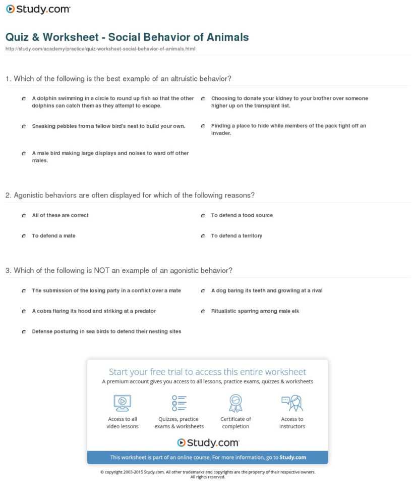 Quiz  Worksheet  Social Behavior Of Animals  Study