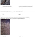 Quiz  Worksheet  Soil Profile  Study