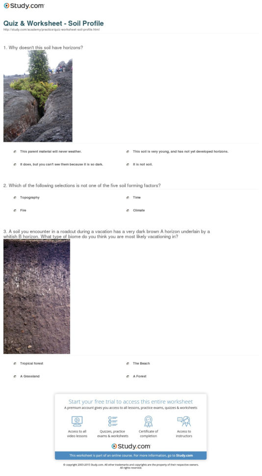 Quiz  Worksheet  Soil Profile  Study