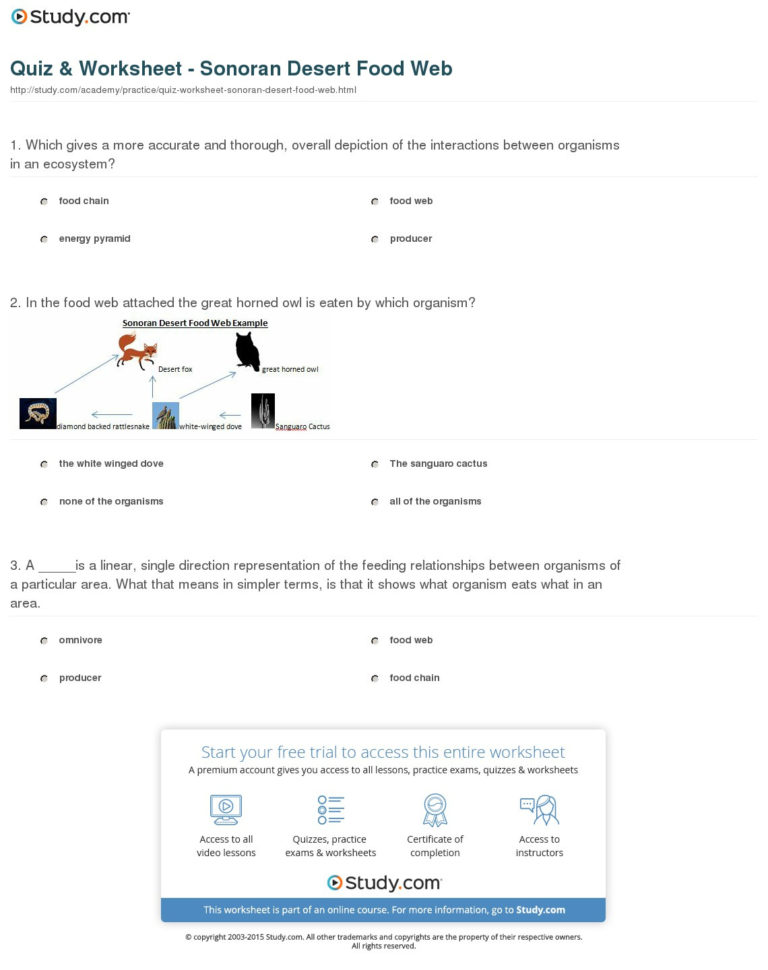 Quiz  Worksheet  Sonoran Desert Food Web  Study