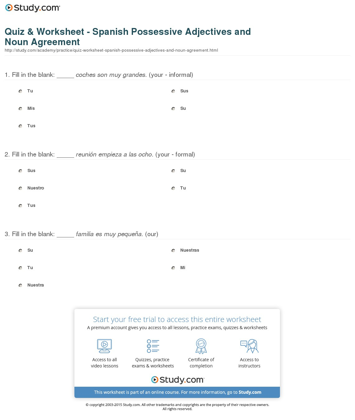 Quiz  Worksheet  Spanish Possessive Adjectives And Noun Agreement