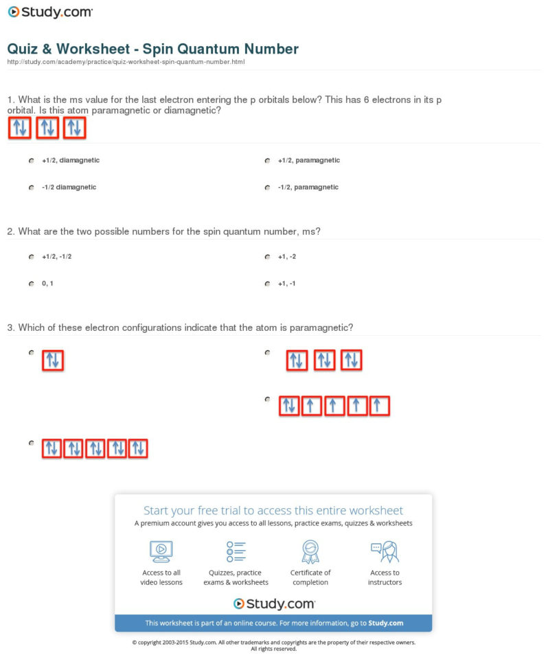 Quiz  Worksheet  Spin Quantum Number  Study