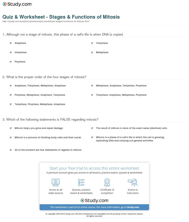 Cell Growth And Reproduction Worksheet Answers