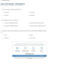 Quiz  Worksheet  Stratosphere  Study