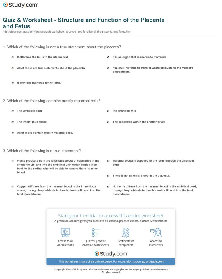 Quiz  Worksheet  Structure And Function Of The Placenta