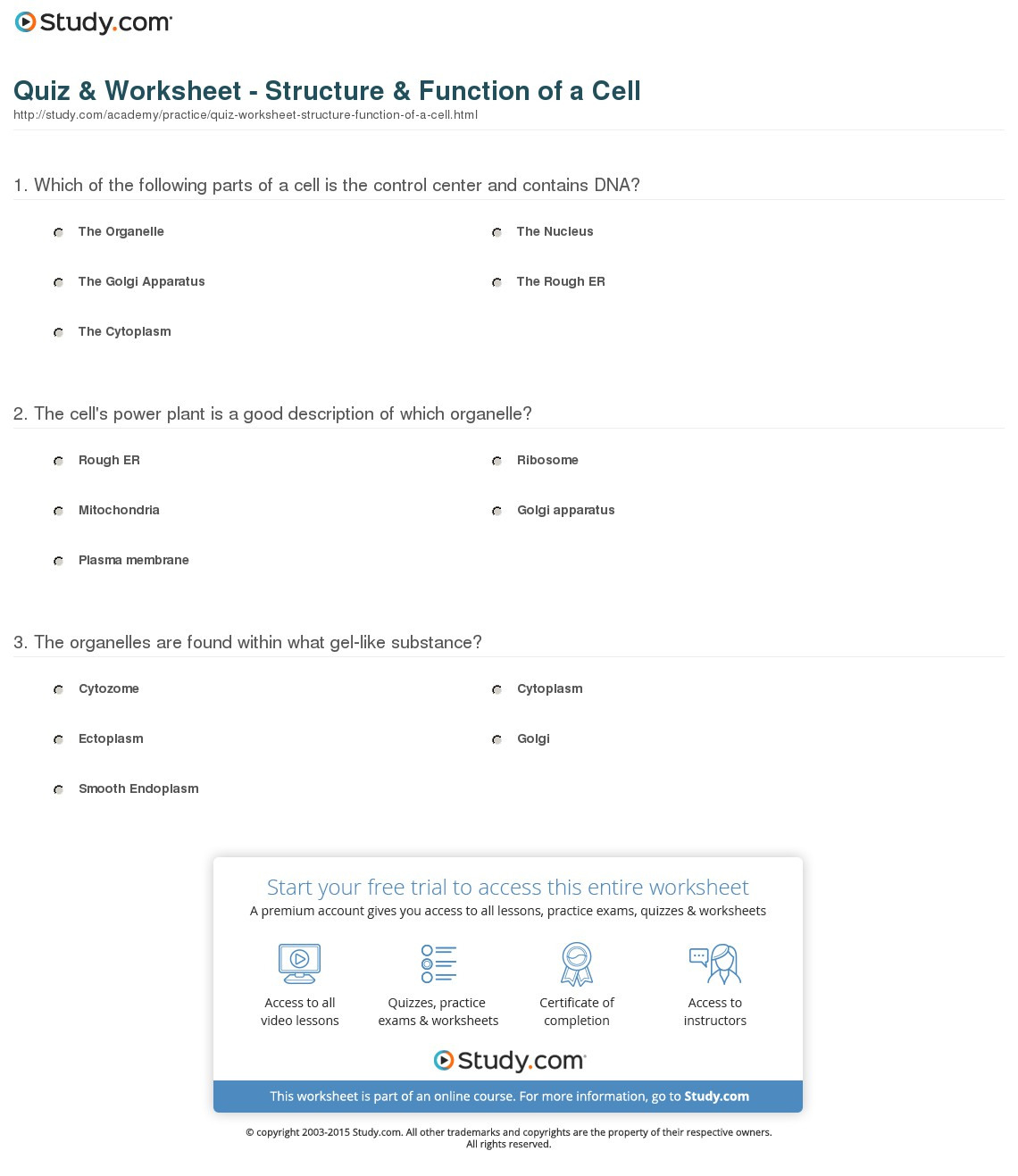 Quiz  Worksheet  Structure  Function Of A Cell  Study