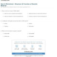 Quiz  Worksheet  Structure  Function Of Genetic Material