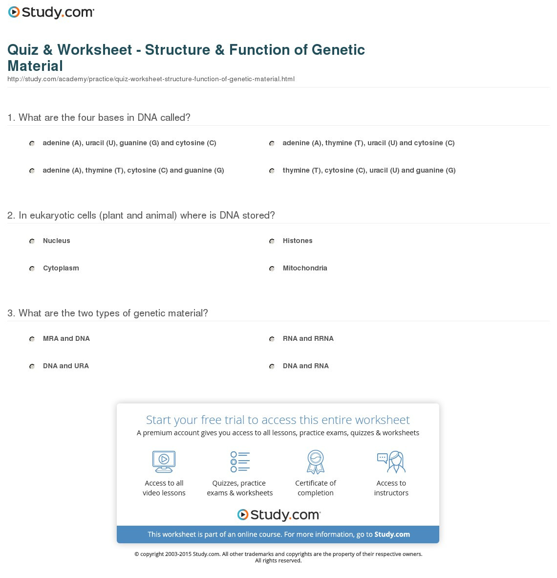 Quiz  Worksheet  Structure  Function Of Genetic Material