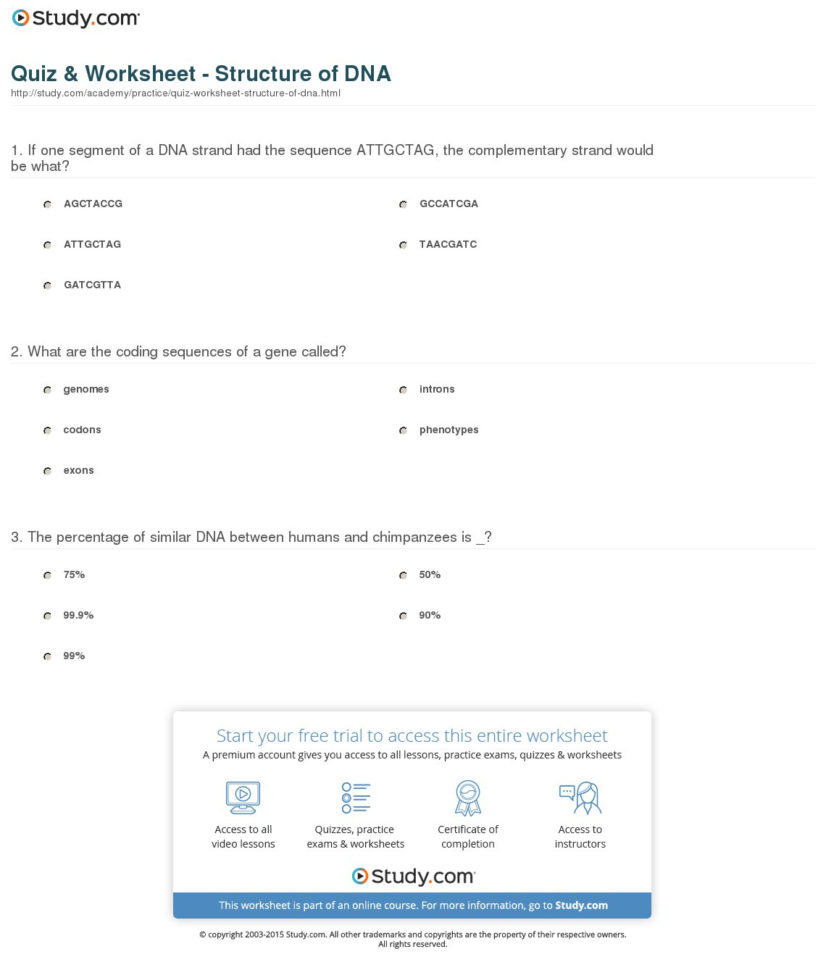 Quiz  Worksheet  Structure Of Dna  Study
