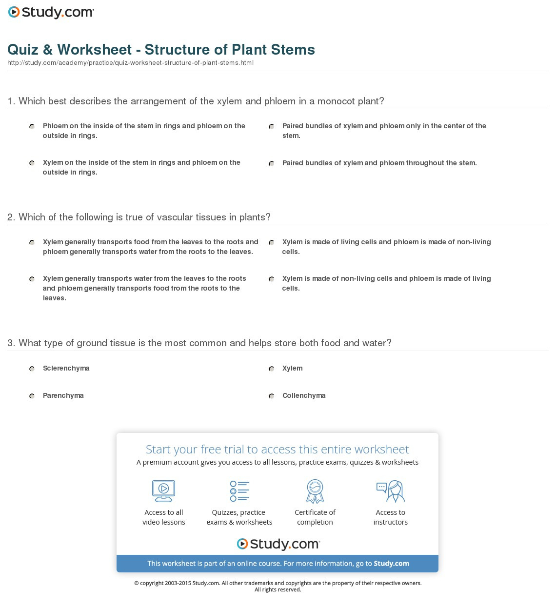 Quiz  Worksheet  Structure Of Plant Stems  Study