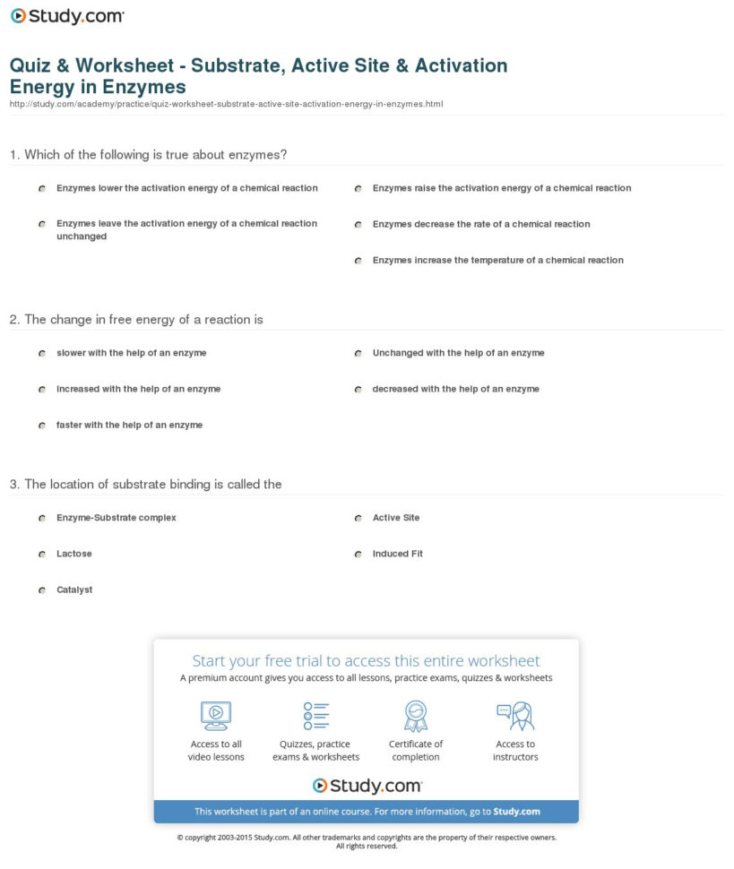 Quiz  Worksheet  Substrate Active Site  Activation