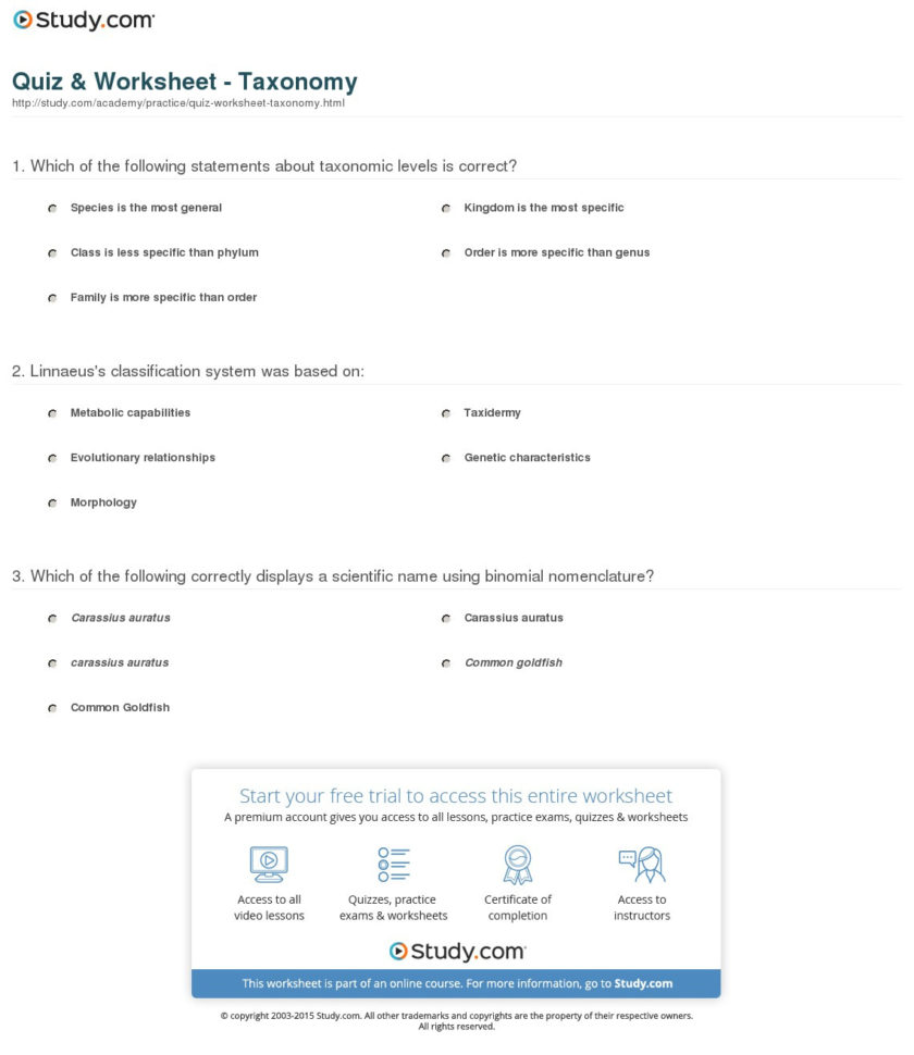 Quiz  Worksheet  Taxonomy  Study