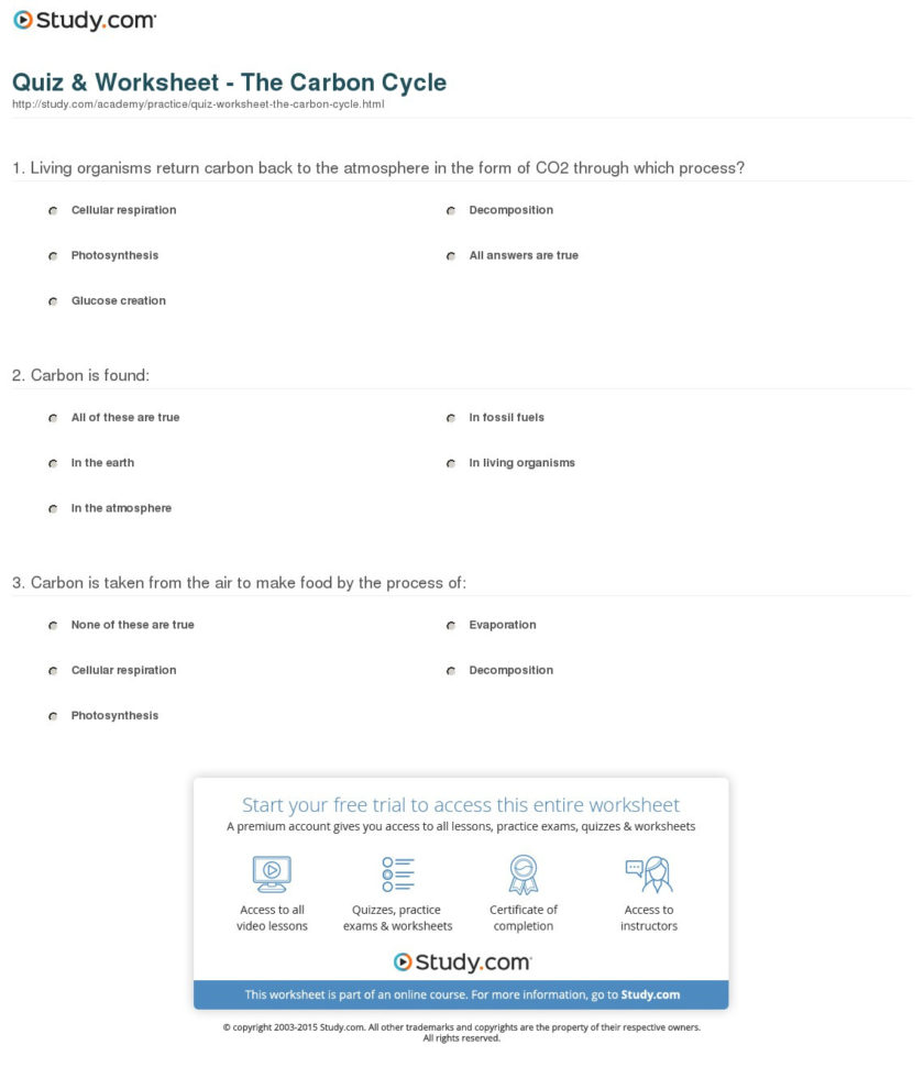 Quiz  Worksheet  The Carbon Cycle  Study