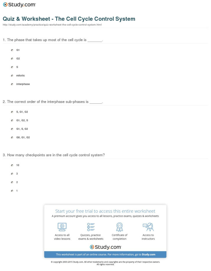 Cell Cycle Worksheet Answers Biology