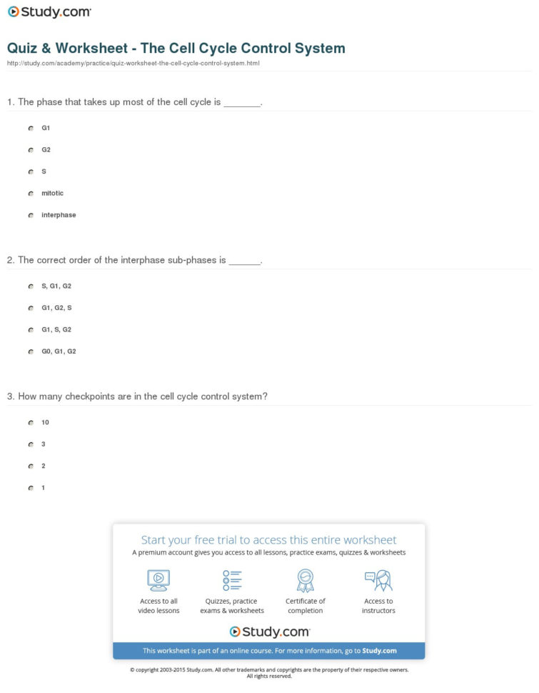 Quiz  Worksheet  The Cell Cycle Control System  Study