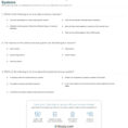 Quiz  Worksheet  The Central And Peripheral Nervous