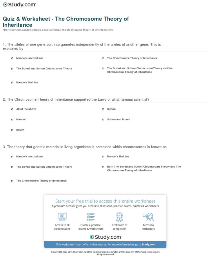 Quiz Worksheet The Chromosome Theory Of Inheritance db excel com Quiz Worksheet The Chromosome Theory Of Inheritance db excel com