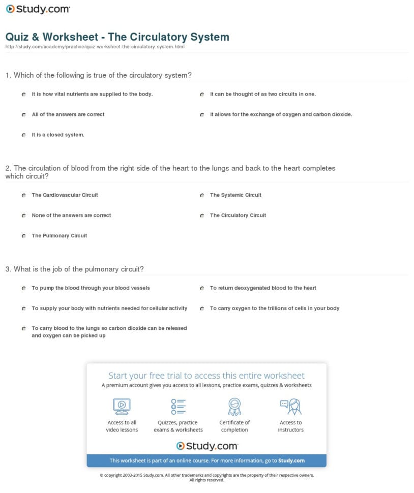 Quiz  Worksheet  The Circulatory System  Study