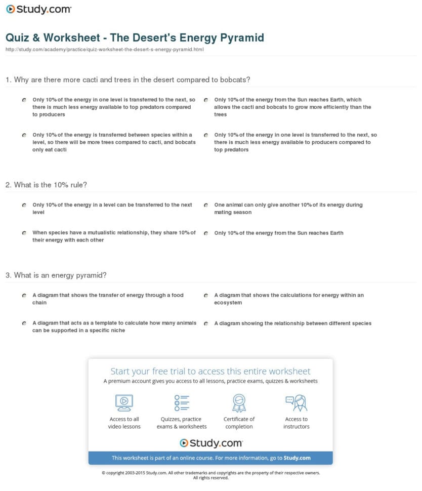 Quiz  Worksheet  The Desert's Energy Pyramid  Study