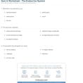 Quiz  Worksheet  The Endocrine System  Study