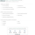 Quiz  Worksheet  The Function And Role Of Cell Membrane