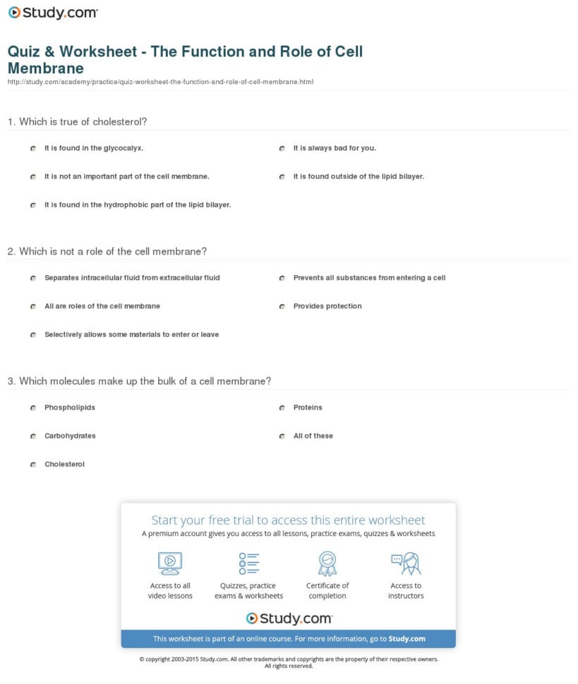 Quiz  Worksheet  The Function And Role Of Cell Membrane