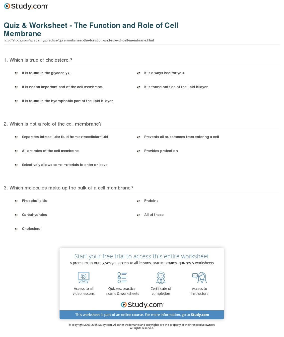 Quiz  Worksheet  The Function And Role Of Cell Membrane