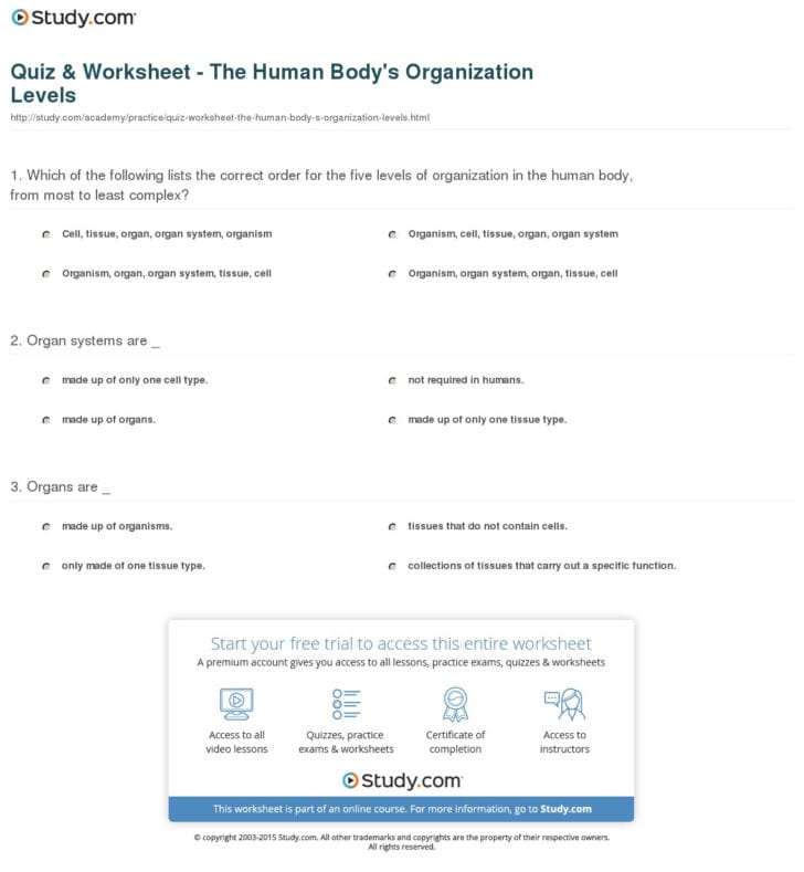 Levels Of Organization Worksheet Answers — db-excel.com