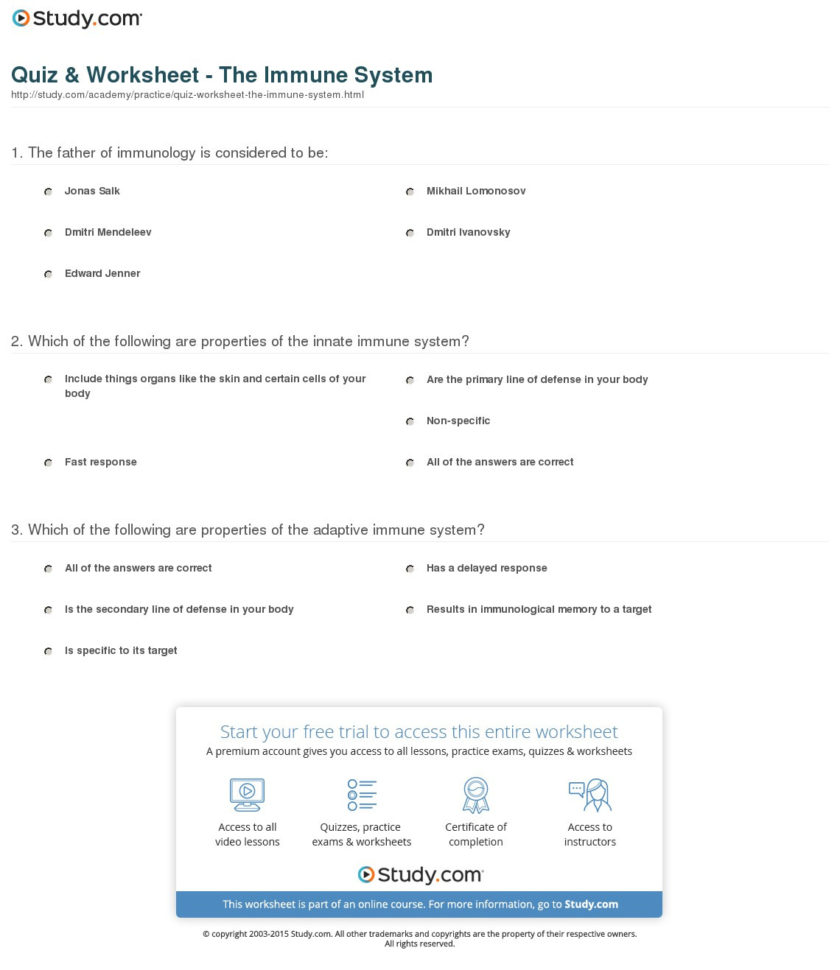 Quiz  Worksheet  The Immune System  Study