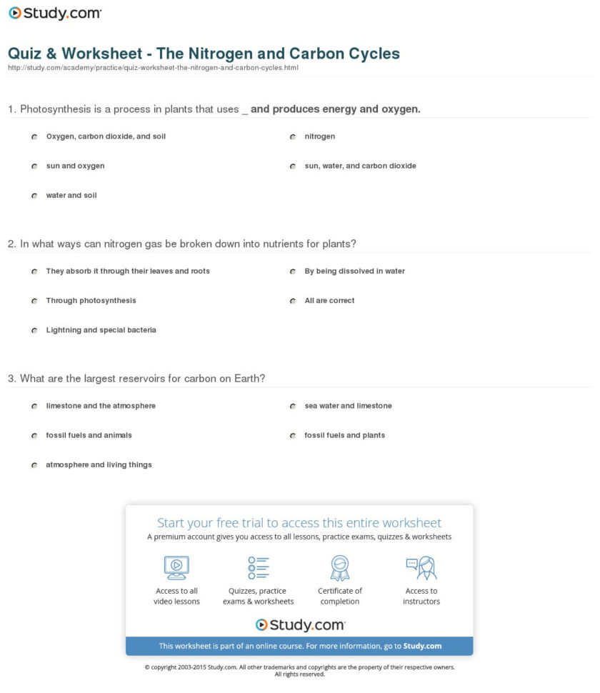 Quiz  Worksheet  The Nitrogen And Carbon Cycles  Study