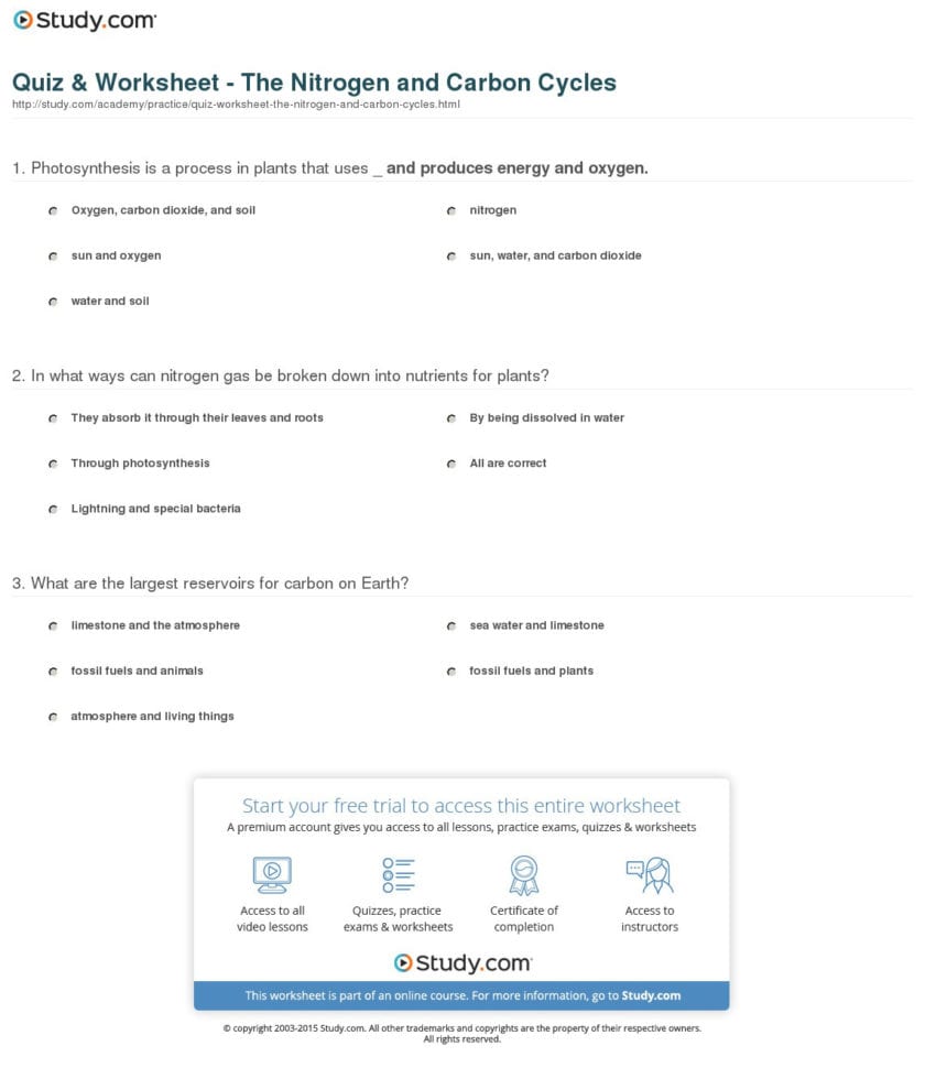 Quiz  Worksheet  The Nitrogen And Carbon Cycles  Study