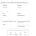 Quiz  Worksheet  The Scientific Method  Study