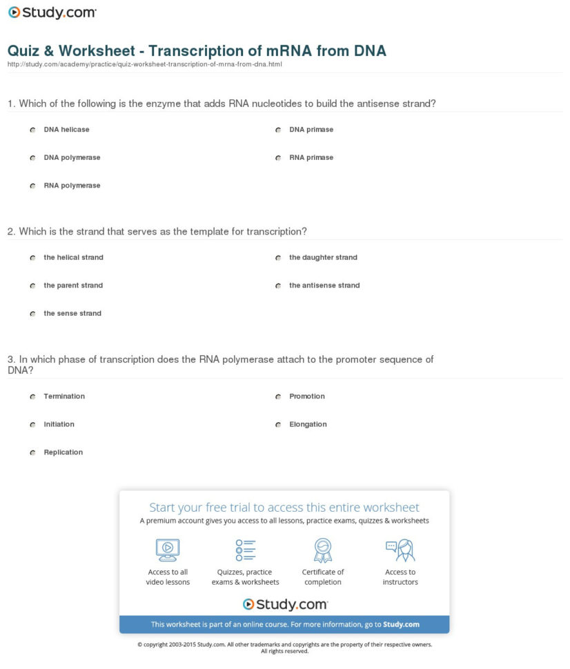 Quiz  Worksheet  Transcription Of Mrna From Dna  Study