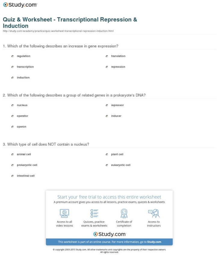 Control Of Gene Expression In Prokaryotes Worksheet Answers