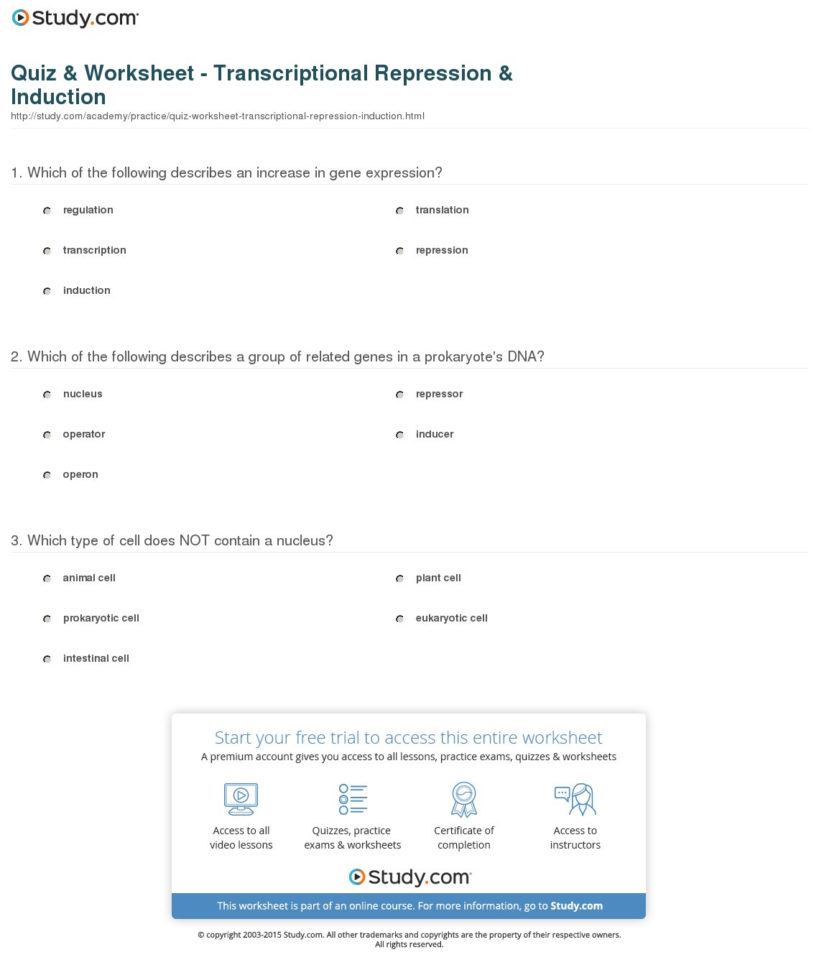Quiz  Worksheet  Transcriptional Repression  Induction