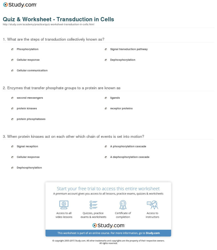 Quiz  Worksheet  Transduction In Cells  Study