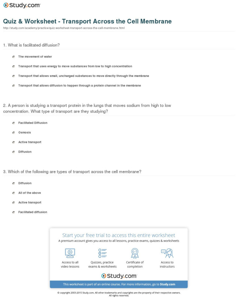 Quiz  Worksheet  Transport Across The Cell Membrane