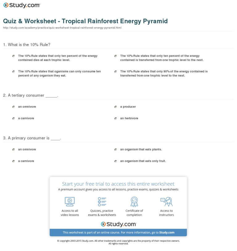 Quiz Worksheet Tropical Rainforest Energy Pyramid — db-excel.com