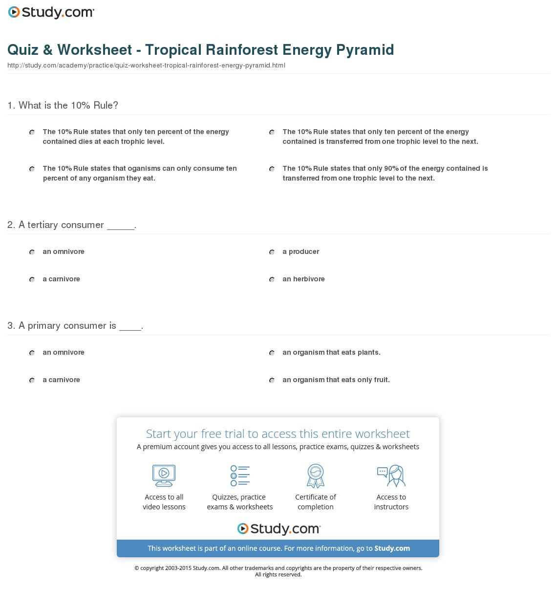 Quiz  Worksheet  Tropical Rainforest Energy Pyramid