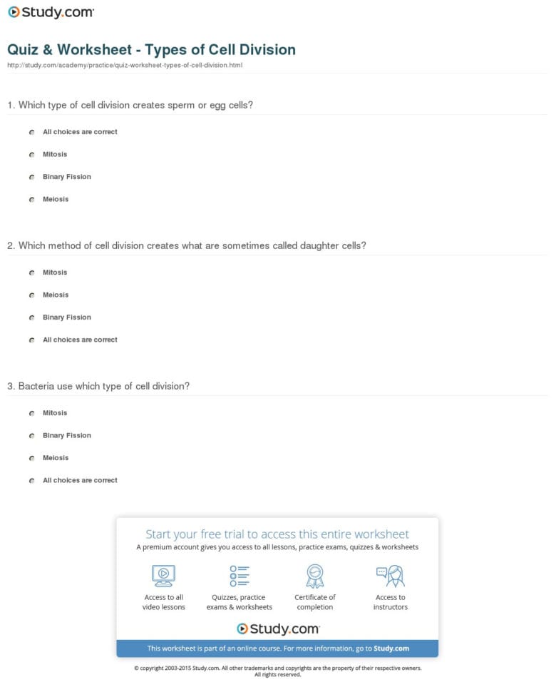 Quiz  Worksheet  Types Of Cell Division  Study